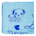 Light Blue Sofa Towel